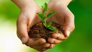 Environmental Conservation